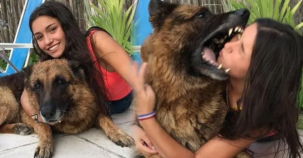 Fotoğraf çekmek isterken köpek tarafından ısırıldı! Genç kıza şok