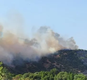 1692544006909.jpeg Balıkesir'in Kepsut ilçesinde orman yangını! Tarım ve Orman Bakanı İbrahim Yumaklı açıkladı: Yangın kontrol altında-3