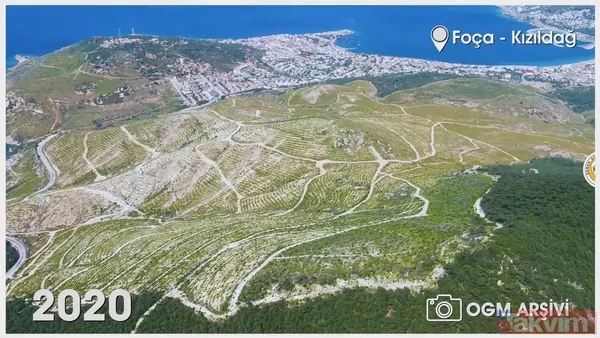 Orman Genel Müdürlüğü paylaştı! İşte yanan ormanların eski ve yeni hali: İzmir, Muğla, Çanakkale ve Balıkesir... - 4