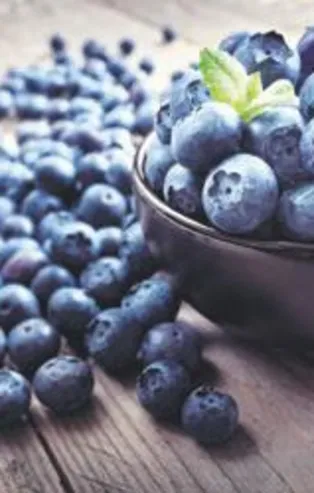 Enfeksiyona yaban mersini