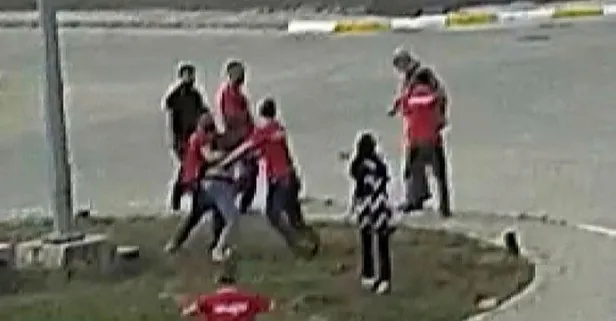 Kocaeli'de vahşet! Kavga eden köpekleri ayırmak isteyen kişiler köpeklerden birini öldürdü