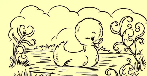 Göldeki 3 ördek yavrusu nerede? Zeka bulmacası: 492 kişiden 2'si bile göremiyor