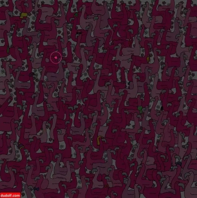 resimdeki-gizli-kalbi-goren-yok-goremeyen-cok-sadece-iqsu-yuksek-olanlar-cozuyor-1720196099075.jpg Resimdeki gizli kalbi gören yok, göremeyen çok! Sadece IQ'su yüksek olanlar çözüyor-3