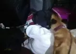 Sivas’ta 2 kilo toz esrar ele geçirildi