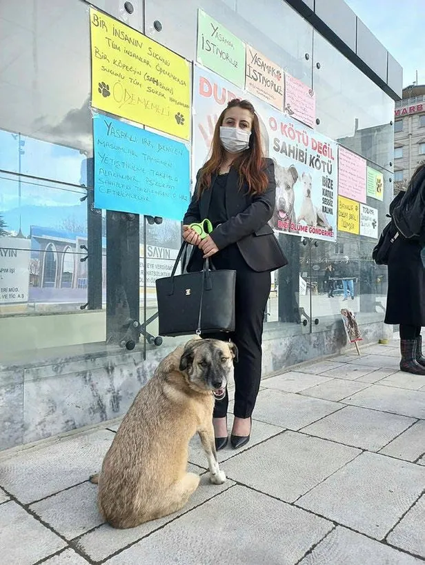 4-kadinin-yasadigi-eve-yuzde-100-zam-yapan-ev-sahibini-akillandiran-ceza-1642973962503.jpeg 4 kadının yaşadığı eve yüzde 100 zam yapan ev sahibini akıllandıran ceza!-11