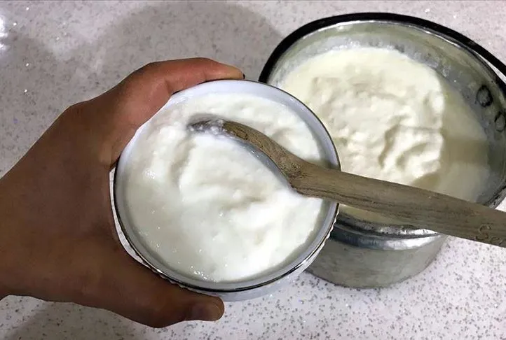 Böbreklere kefir gücü