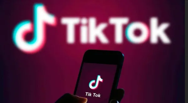 tiktok-mercek-altinda-vergi-kaciran-fenomenler-yolun-sonuna-geldi-1661924763289.jpg