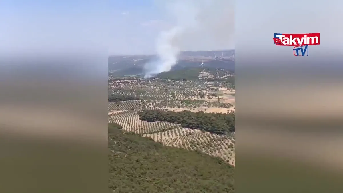 İzmir Bergama'da yangın! İlk görüntü!