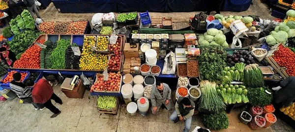 koronavirus-turkiyeyi-durduramadi-tarim-urunleri-ihracati-artti-1597048367174.jpg Koronavirüs Türkiye'yi durduramadı! Tarım ürünleri ihracatı arttı-4