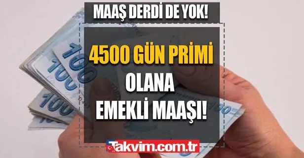 4500 gün primi olana emekli maaşı! Yaş şartına dikkat... Maaş derdi de yok!