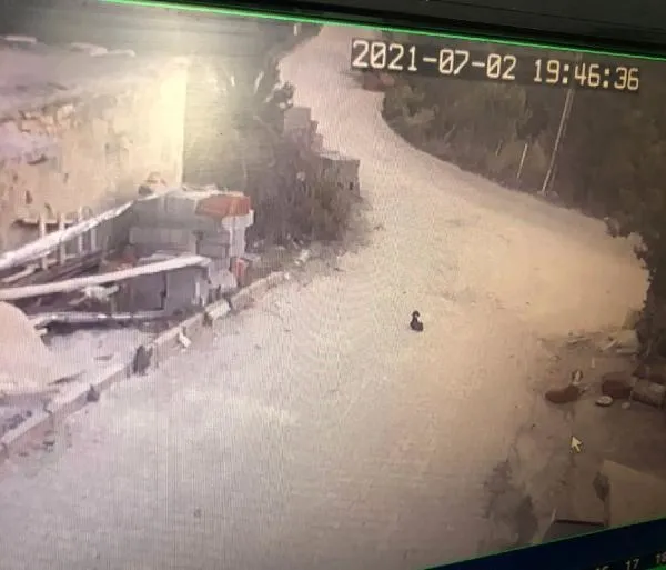 Konya'da yavru köpeği ezen sürücü arkasına bile bakmadı! O anlar güvenlik kamerasında-1