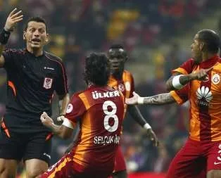 Aslan evinde yara aldı