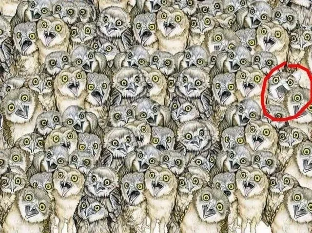 zeka-seviyesini-sipsak-cozen-test-baykuslarin-arasindaki-kediyi-bulana-dahi-diyorlar-1713879680839.jpg Zeka seviyesini şipşak çözen test! Baykuşların arasındaki kediyi bulana dahi diyorlar-7