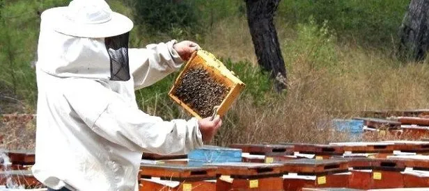 Arıcılara 5 bin liralık hibe