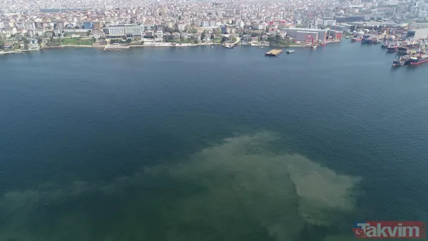 Marmara Denizi'ne müsilaj geri mi dönüyor? İstanbul'da Tuzla Kadıköy ve İzmit ile Yalova'da korkutan görüntü - 3