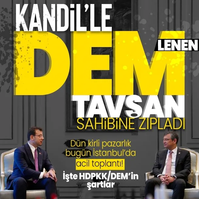 Kandil’le ‘DEM’lenen tavşan sahibine zıpladı! CHP Genel Başkanı Özgür Özel ile Ekrem İmamoğlu arasında İstanbul’da acil toplantı