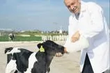 Güneydoğu’ya yatırım müjdesi