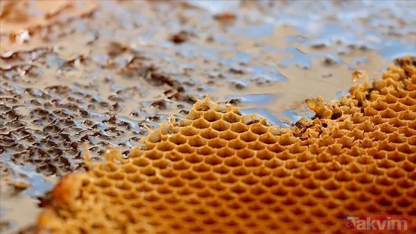 Kavanoz dolusu zehir! Bakanlık organik dolandırıcıları tek tek ifşa etti: Meğer bal diye... - 6