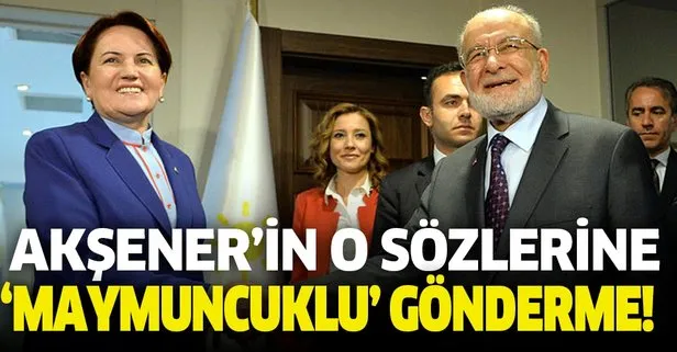 Karamollaoğlu'ndan Akşener'in o sözlerine maymuncuklu gönderme!