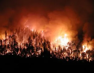 Dünya orman yangınlarıyla boğuşuyor!