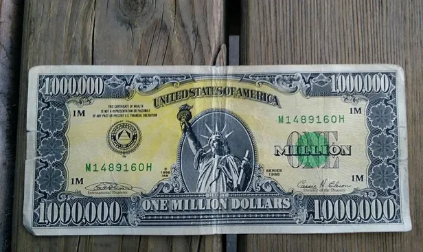 Uşak'ta ‘Amerikan rüyası'nın sembolü 1 milyon dolarlık banknot ele geçirildi-1