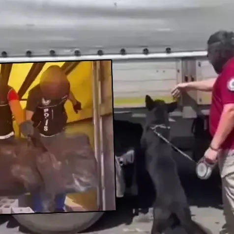 4 ilde zehir tacirlerine baskın!