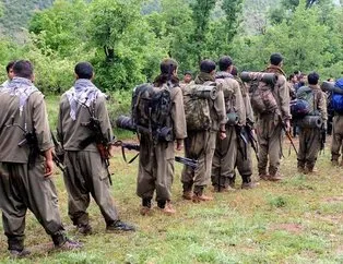 PKK’nın 350 kişilik terör ağı ifşa oldu