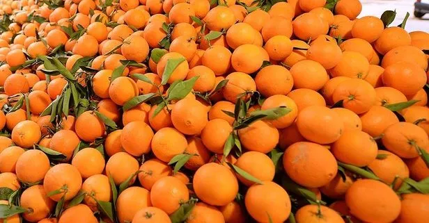 Öksürüğe portakal birebir!