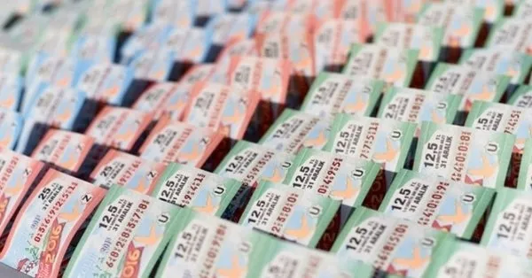 2021 yılbaşı MPİ bilet numarası ile online ve hızlı bilet sorgulama ekranı - Milli Piyango Bilet sorgulama-2