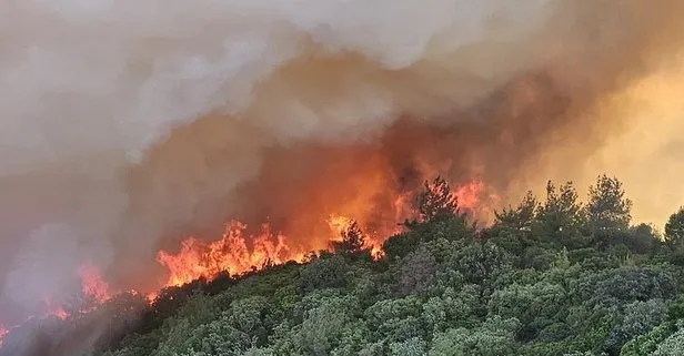 Çanakkale'nin Eceabat ilçesinde orman yangını! İkinci bir duyuruya kadar girişler durduruldu | MSB açıkladı: S-70 tipi helikopter sahada