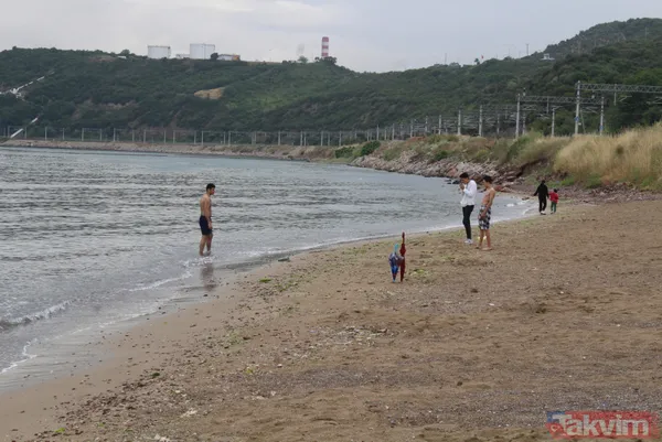 Kocaeli Dilovası'nda kömür tozları dereye aktı! İzmit Körfezi simsiyah oldu - 9