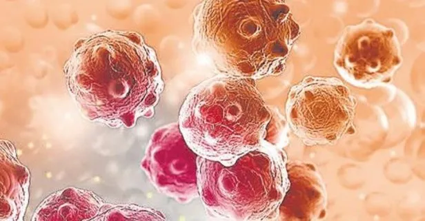 Kanserli hücreleri kandırarak, tümörleri öldürebilen ‘yem’ molekülleri yaratıldı