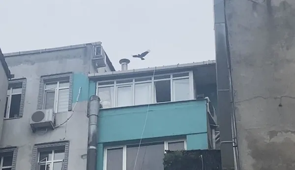 istanbulda-film-sahnesi-gibi-anlar-gasp-suphelisi-polis-baskinindan-kacmaya-calisirken-pencereden-catiya-atladi-yere-cakildi-1618902379896.jpg İstanbul'da film sahnesi gibi anlar! Gasp şüphelisi polis baskınından kaçmaya çalışırken pencereden çatıya atladı yere çakıldı-4