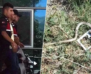Yılanı vurayım derken hamile eşini öldürdü