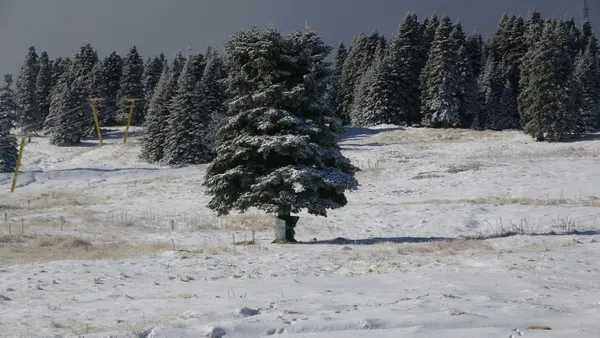 2-aralik-persembe-hava-durumu-meteorolojiden-kar-ve-firtina-uyarisi-istanbula-kar-yagacak-mi-1638415263148.jpg 2 ARALIK PERŞEMBE HAVA DURUMU | Meteoroloji'den kar ve fırtına uyarısı! İstanbul'a kar yağacak mı?-6
