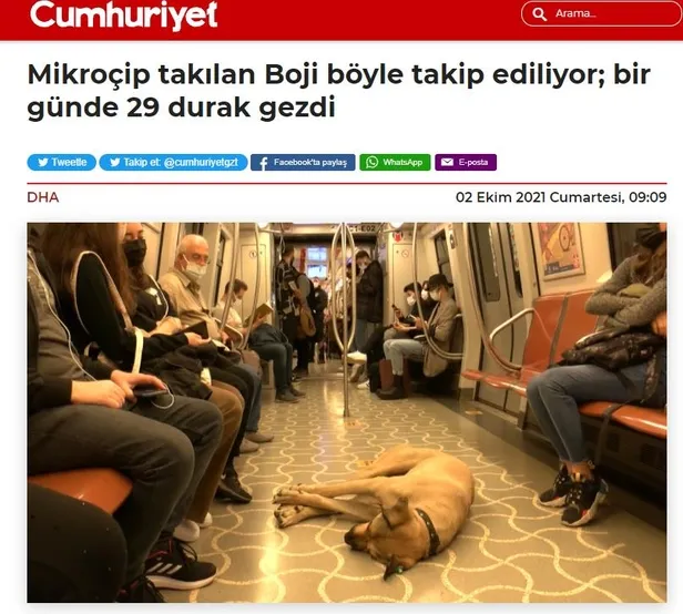 İstanbul'da "Boji" tartışması: Hayvanseverlerin hedefinde olan İmamoğlu'nun PR çalışması da tepkilerin odağında!-4