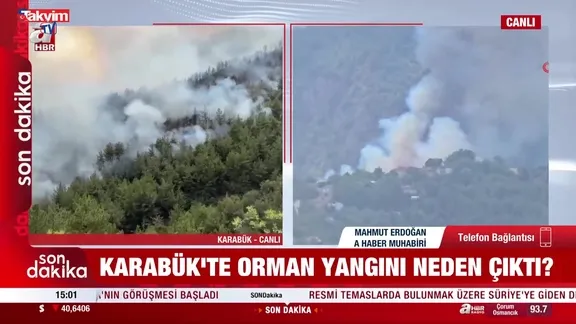Karabük'te yine orman yangını