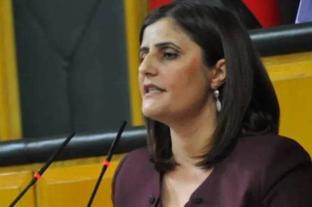 Dirayet Dilan Taşdemir kimdir, nereli? Dirayet Dilan Taşdemir nerenin milletvekili?