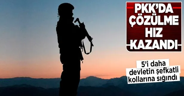 Son dakika: PKK’da çözülme hız kazandı! 5 terörist daha teslim oldu