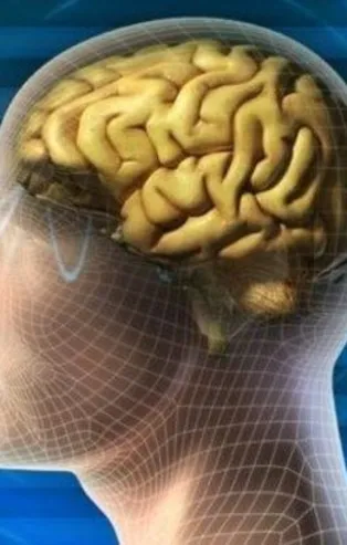 Bu besin direkt beyni etkiliyor!
