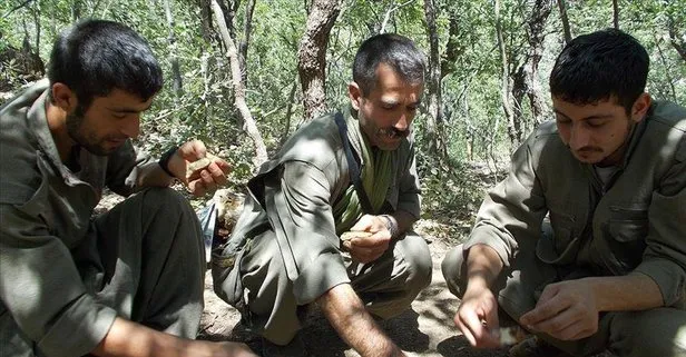 SON DAKİKA: Metropollerde saldırı yapmak üzere eğitilen PKK’lı 4 terörist tutuklandı!