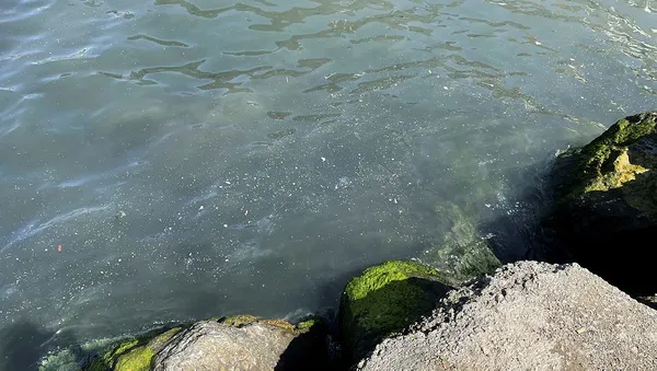 İstanbul Boğazı'na zehir akıyor İBB seyrediyor! Vatandaş Bekar Deresi'ndeki kirliliğe ve kötü kokuya isyan etti-2