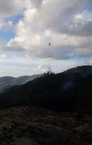Son dakika: Balıkesir'in Edremit ilçesinde çıkan orman yangını kontrol altına alındı