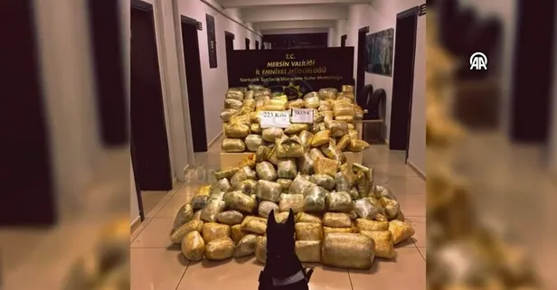 Mersin ve Erzurum'da operasyon: 447,5 kilogram uyuşturucu ele geçirildi