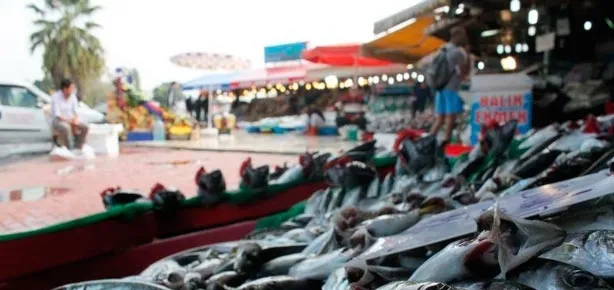 Balık fiyatları ’yarı yarıya’ düştü