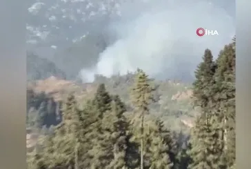 Kadirli'de orman yangını! | Video