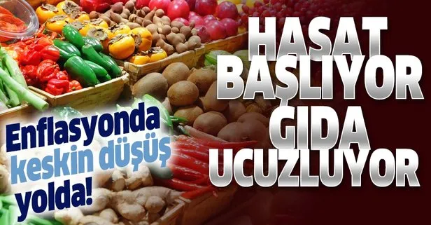 Enflasyonda keskin düşüş! Hasat başlıyor, gıda ucuzluyor