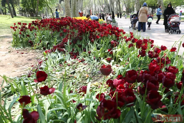 İstanbul Gülhane Parkı 10 katı ziyaretçi ağırladı! Laleler talan edildi - 19