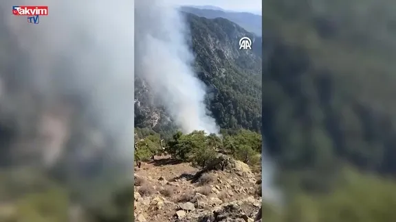 Muğla Köyceğiz'de orman yangını