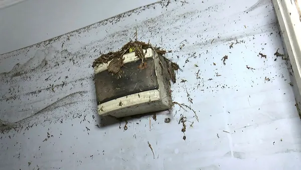 İstanbul'da sel 2 can aldı! Felaketin boyutu gün ağarınca ortaya çıktı: Hasar tespit çalışmaları başladı | Dakika dakika yaşananlar-3